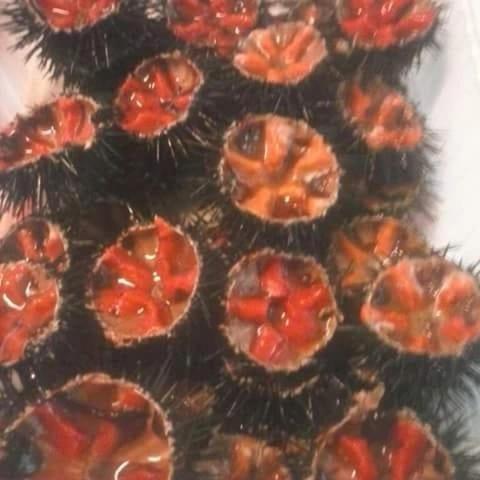 Dal Pescatore Appartamenti Savelletri Dış mekan fotoğraf