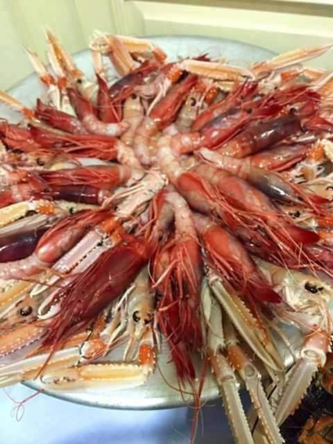 Dal Pescatore Appartamenti Savelletri Dış mekan fotoğraf