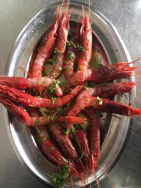 Dal Pescatore Appartamenti Savelletri Dış mekan fotoğraf